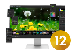 SILKYPIX Developer Studio Pro12