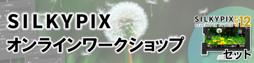 SILKYPIX Developer Studio Pro12 &ワークショップ/1月10日11時〜