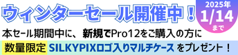 SILKYPIX Developer Studio Pro12