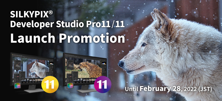 SILKYPIX Developer Studio Pro11/11 Launch Promotion