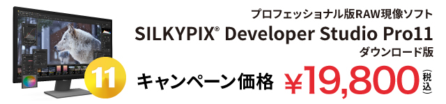 SILKYPIX Developer Studio Pro11 キャンペーン価格 19,800円