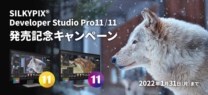 SILKYPIX Developer Studio Pro11/11 発売記念キャンペーン