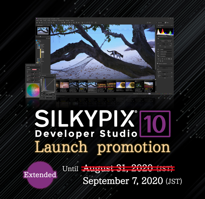 SILKYPIX Developer Studio 10 Launch promotion