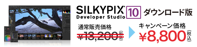 SILKYPIX Developer Studio 10 特別価格 8,800円