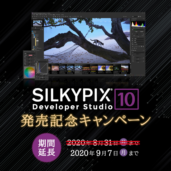 silkypix developer studio pro 7 for panasonic english