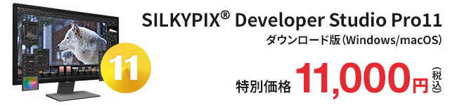 SILKYPIX Developer Studio Pro11 特別価格 11,000円