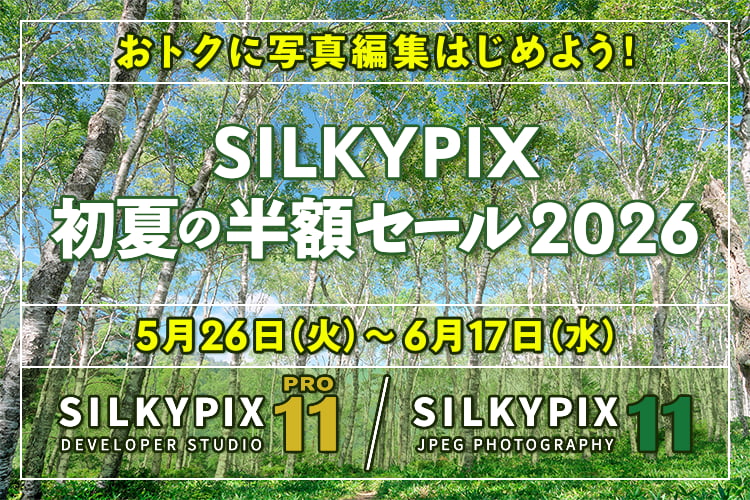 SILKYPIX 初夏の半額セール 2026