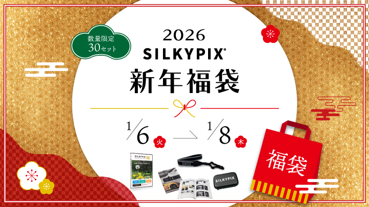 SILKYPIX クリスマスセール 2025